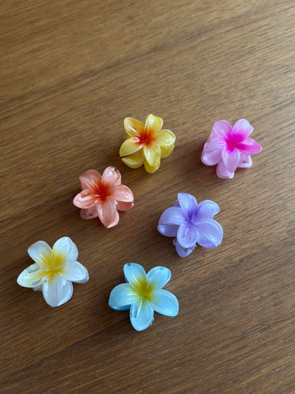Mini flower clips